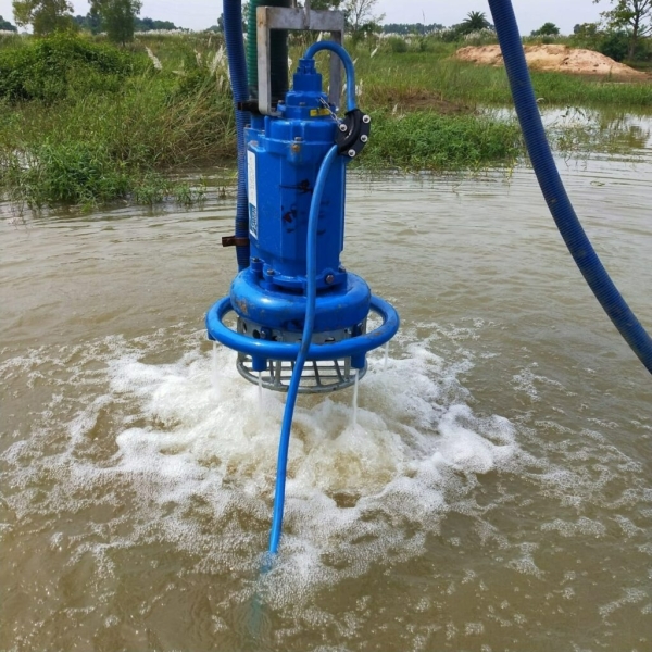 SALI Submersiable Pump With Floating Ball - Image 2
