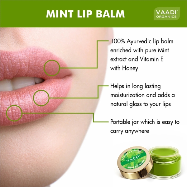VAADI Pack of 4 Lip Balm - Mint (6 gms each) - Image 2