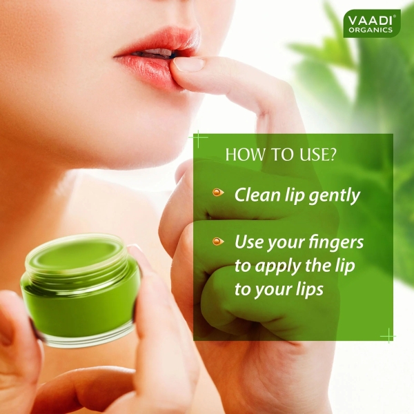 VAADI Pack of 4 Lip Balm - Mint (6 gms each) - Image 3