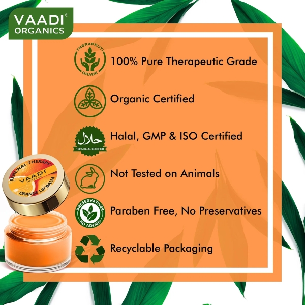 VAADI Nourishing Lip Balm - Orange & Shea Butter (6 gms) - Image 2