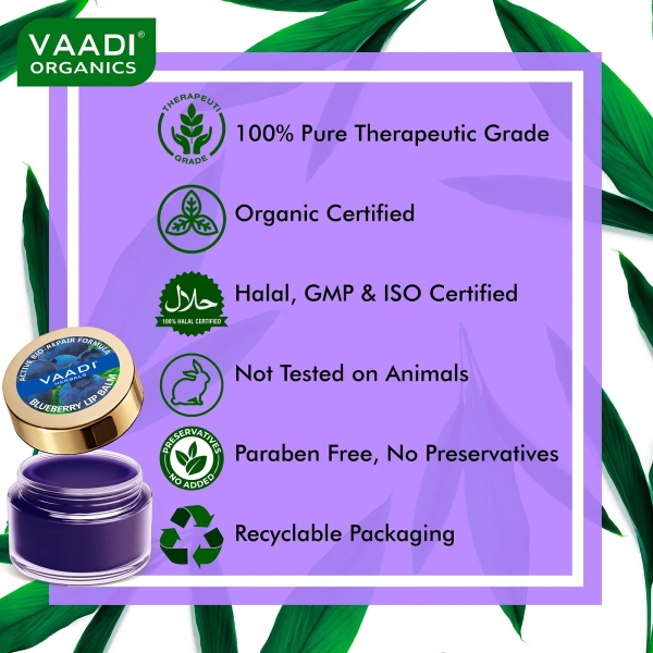 VAADI Nourishing Lip Balm - Blueberry (6 gms) - Image 5