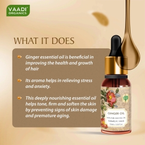 VAADI Ginger Essential Oil 100% Pure Therapeutic Grade (10 ml)