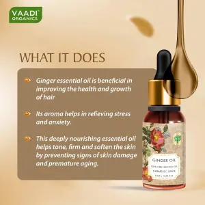 VAADI Ginger Essential Oil 100% Pure Therapeutic Grade (10 ml)