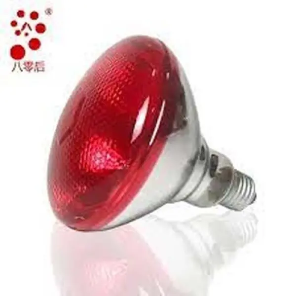 Infrared Heat Lamp Bulb, 250W Chicks Infrared Red Heat Lamps and For Animals Holder Included - Image 2