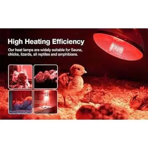 Infrared Heat Lamp Bulb, 250W Chicks Infrared Red Heat Lamps and For Animals Holder Included - Image 4
