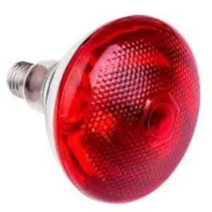 Infrared Heat Lamp Bulb, 250W Chicks Infrared Red Heat Lamps and For Animals Holder Included