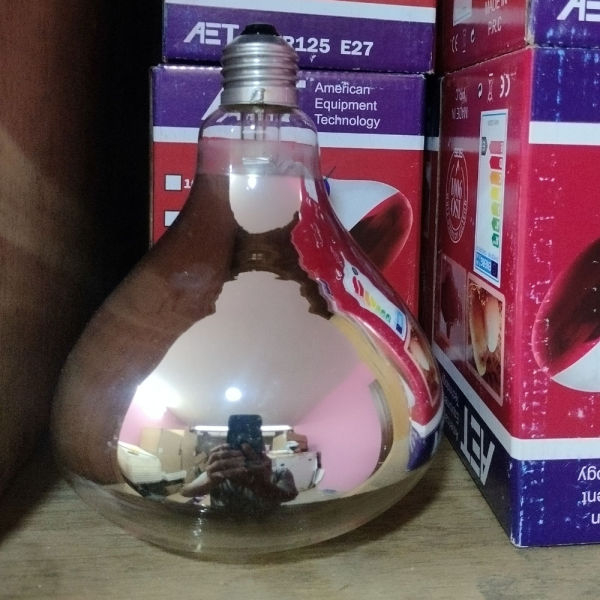 Infrared Heating Bulb For Brooding And Heat Therapy 200W - Image 3