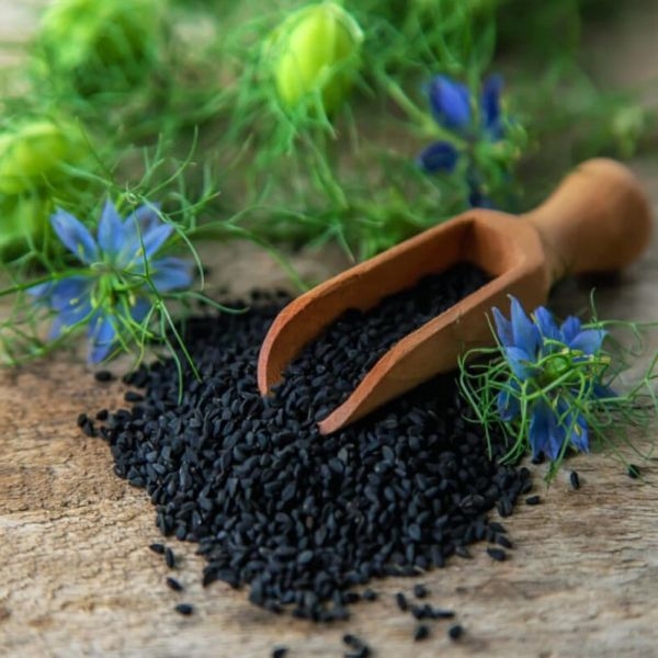 Kalonji Seeds / Mungrelo 200 gm - Image 3