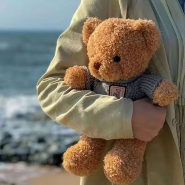 KOJA 30cm Bear Plush Toy dress up doll,the Best Gift for Kids, Good Guy ,Stuffed Animal Brithday Gift - Image 4