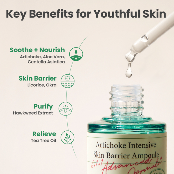 KOJA AXIS – Y – Artichoke Intensive Skin Barrier Ampoule 30ml - Image 4