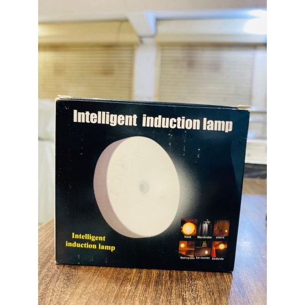 LED Cabinet Light Intelligent Body Motion Sensor Activated Night Light Induction Lamp - Image 3