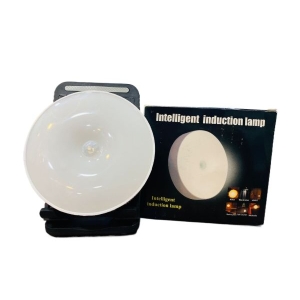 LED Cabinet Light Intelligent Body Motion Sensor Activated Night Light Induction Lamp
