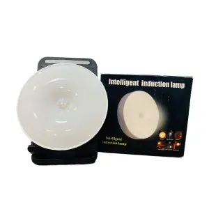 LED Cabinet Light Intelligent Body Motion Sensor Activated Night Light Induction Lamp