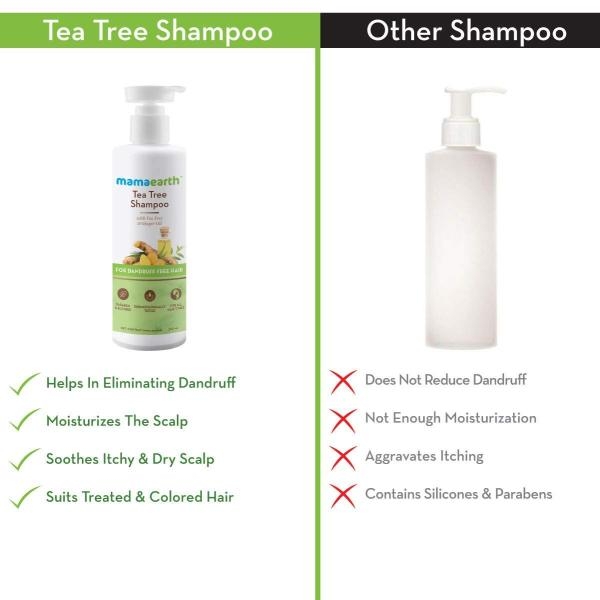 Mamaearth Tea Tree Shampoo 250 Ml Natural Hair Care Product for Allergy-Free Skincare - Image 5
