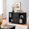 Large Space with Multiple Compartment Filling Cabinet in Black