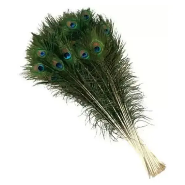 Mayurko Puwakh (Peacock Feather) Set of 5 pcs By Mitrata - Image 2