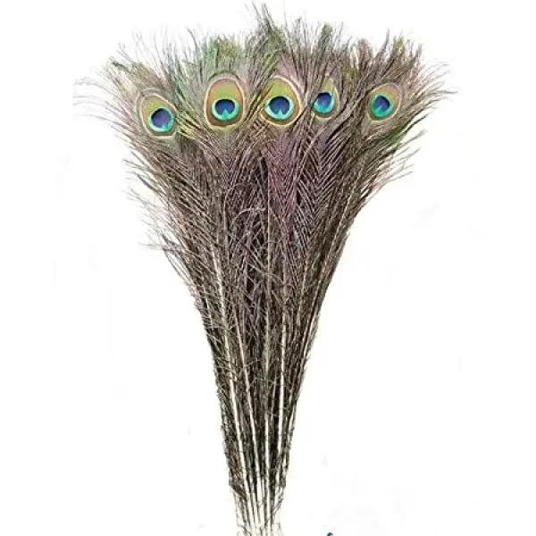 Mayurko Puwakh (Peacock Feather) Set of 5 pcs By Mitrata - Image 4