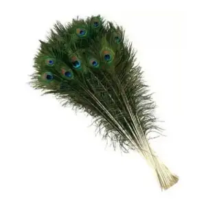 Mayurko Puwakh (Peacock Feather) Set of 5 pcs By Mitrata