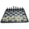 Medium Magnetic Chess Board/ Taisanlin No: 3325 A set of Magnetic Chess Board and Chess MenBy Mitrata