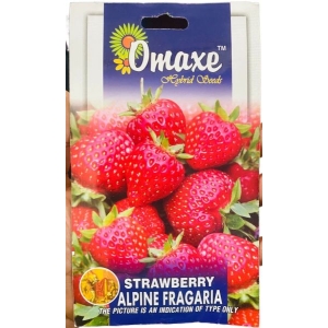 Multiple fruit - 1 Packet Strawberry Alpine Fragaria Omaxe Seeds By Savyata Stores For Kitchen Garden