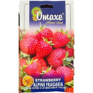 Multiple fruit - 1 Packet Strawberry Alpine Fragaria Omaxe Seeds By Savyata Stores For Kitchen Garden