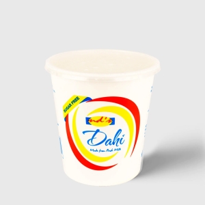 nd's Plain Sugar Free Yogurt (1L)