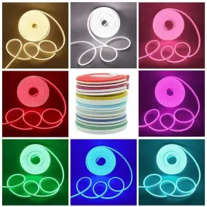 Neon Light 12v Cutable Multicolor