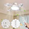6W 3-Color Dimmable LED