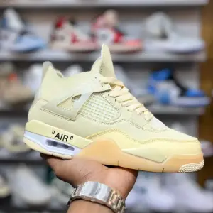 Nike Jordan 4 SNAIL