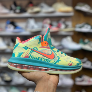 Nike LeBron 9 Low LeBronald Palmer