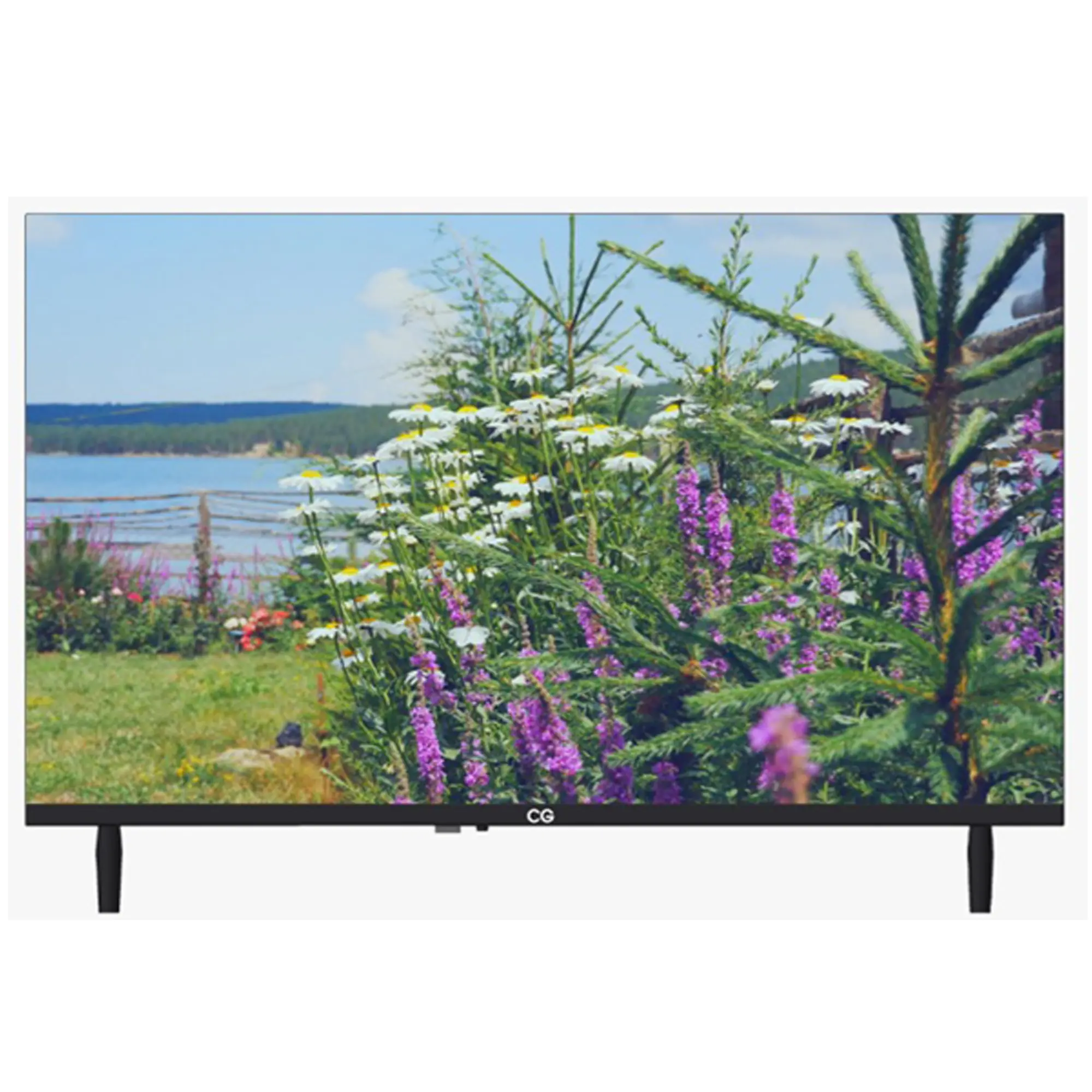 CG 32 Inch Smart LED TV
