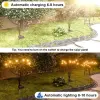 Outdoor Solar Light For Garden