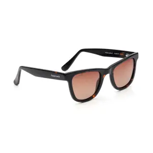Fastrack Brown Wayfarer Sunglasses for Men