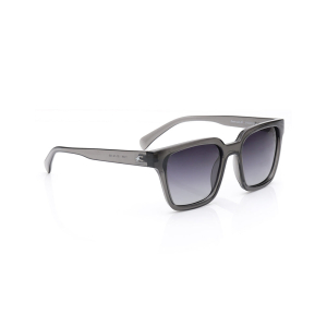 Fastrack Smoke Wayfarer Sunglasses for Women