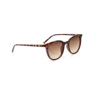 Fastrack Brown Cateye Sunglasses for Women