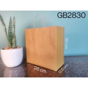 Paper Bag with Paper Hanndle (30*28*12.5cm)Set of 25 pcs (GB2830)
