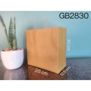 Paper Bag with Paper Hanndle (30*28*12.5cm)Set of 25 pcs (GB2830)