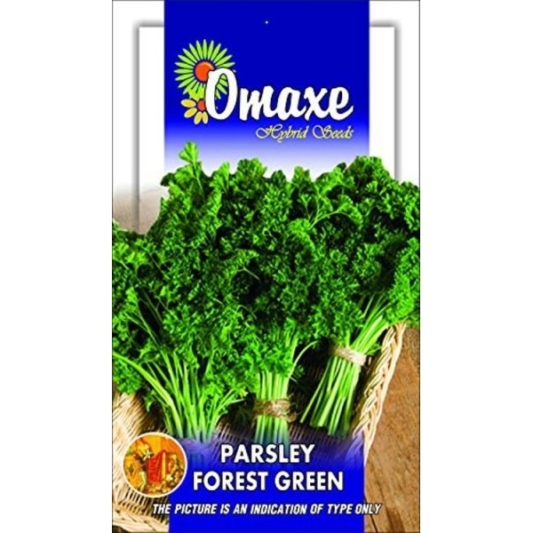Parsley Forest Green Kitchen Garden Pack - Excellent Quality Selected Omaxe Seeds - Image 2