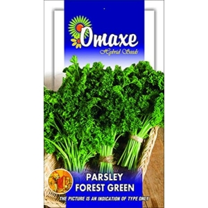 Parsley Forest Green Kitchen Garden Pack - Excellent Quality Selected Omaxe Seeds