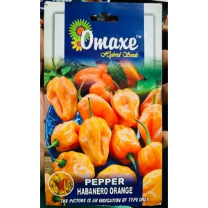 PEPPER Seed - 1 Packet PEPPER HABANERO ORANGE Omaxe Seeds By Savyata Stores For Kitchen Garden