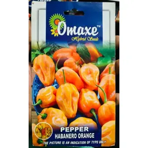 PEPPER Seed - 1 Packet PEPPER HABANERO ORANGE Omaxe Seeds By Savyata Stores For Kitchen Garden