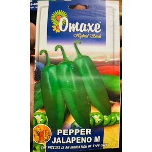 PEPPER Seed - 1 Packet PEPPER JALPENO M Omaxe Seeds By Savyata Stores For Kitchen Garden