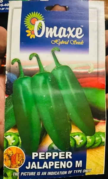 PEPPER Seed - 1 Packet PEPPER JALPENO M Omaxe Seeds By Savyata Stores For Kitchen Garden