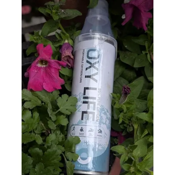 Portable Oxygen Can 12 Ltr For Trekking And Oxygen Needs - Image 4
