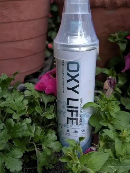Portable Oxygen Can 12 Ltr For Trekking And Oxygen Needs