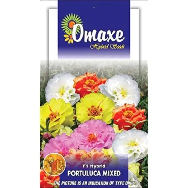 Portulaca, Mix - Excellent Quality Selected Flower Seeds - Image 2