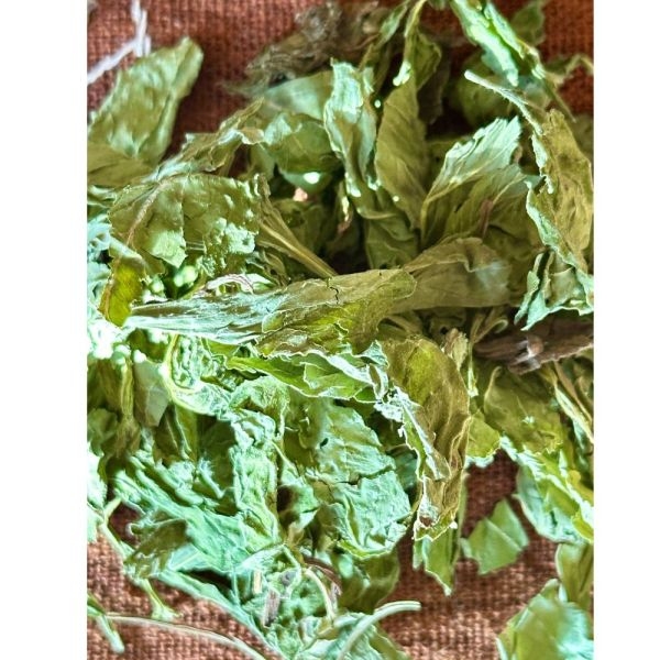 Premium Spearmint Tea For Acne, Reduces Facial Hair, Hormonal Imbalance, PCOD/PCOS, And Weight Loss (Loose Tea) - 40GMS Kraft Pack - Suiro Teas - Image 2