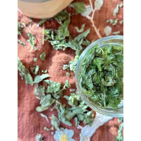 Premium Spearmint Tea For Acne, Reduces Facial Hair, Hormonal Imbalance, PCOD/PCOS, And Weight Loss (Loose Tea) - 40GMS Kraft Pack - Suiro Teas - Image 3