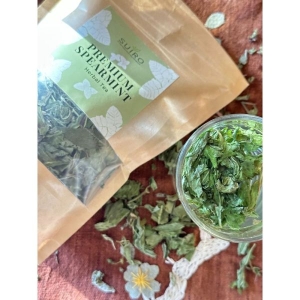 Premium Spearmint Tea For Acne, Reduces Facial Hair, Hormonal Imbalance, PCOD/PCOS, And Weight Loss (Loose Tea) - 40GMS Kraft Pack - Suiro Teas