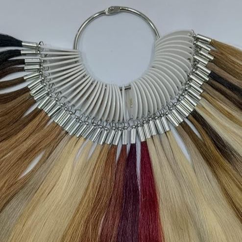 Color Ring Sample Real Human Hair Color Swatches Testing Color Sample Rings for Human ...